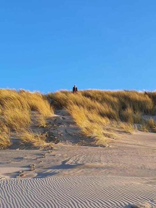 Logement Entier Avec Grand Jardin Et Parking Wifi 6 Et Fibre Berck Buitenkant foto
